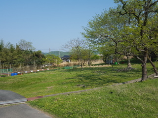 20160419_083658.jpg