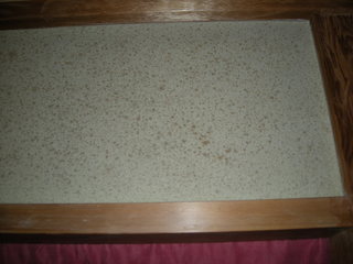 DSCN2656.JPG
