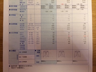 写真 のコピー 2.JPG