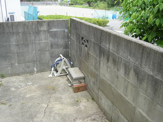 SANY0326.JPG