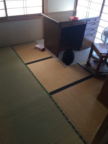 かわいい　琉球畳