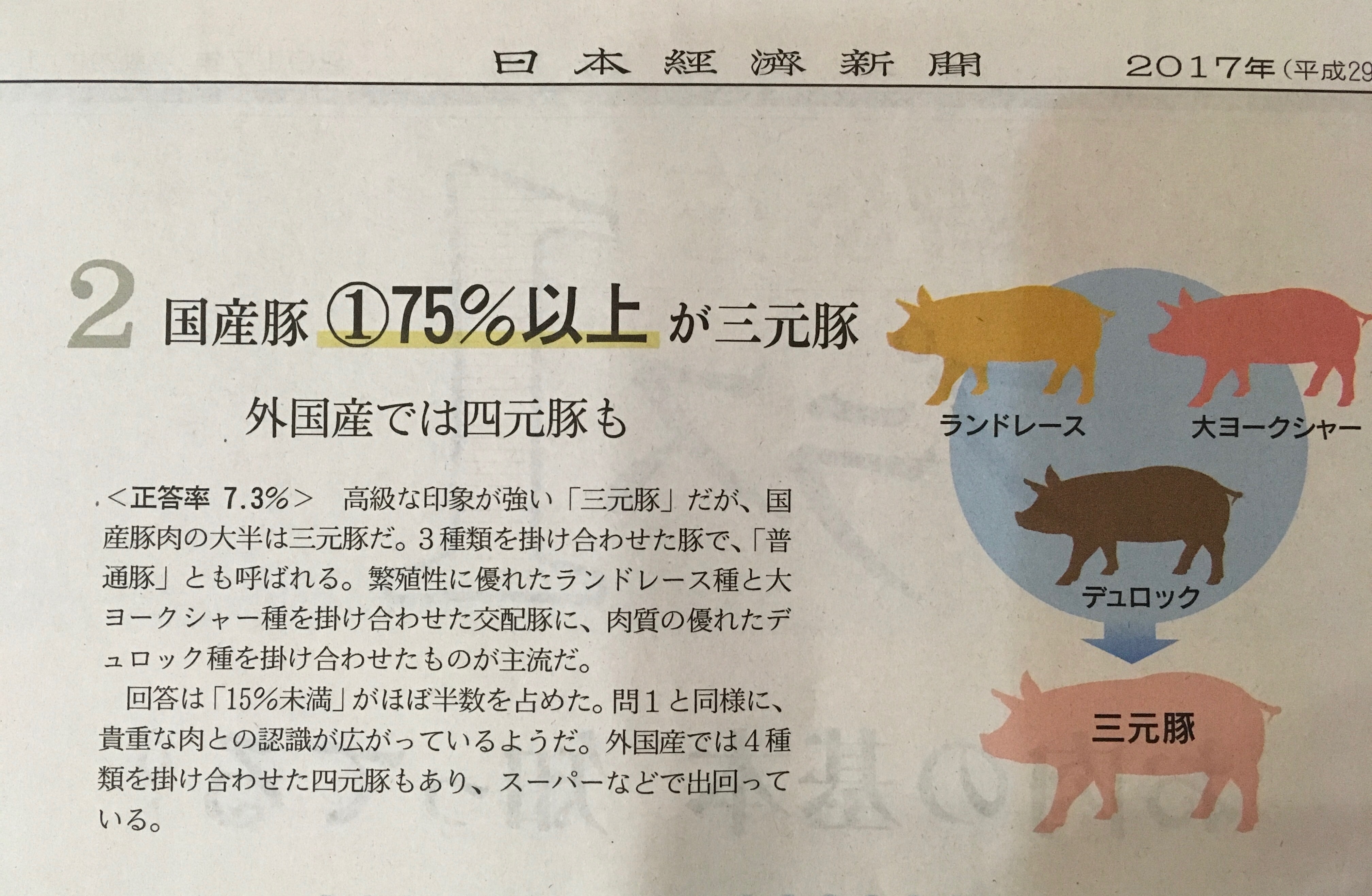 黒毛和牛と三元豚 株式会社オレンジナイト 社長の魚住のブログ