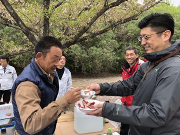 オレンジナイト 花見