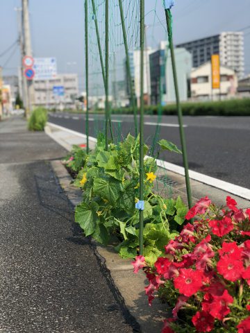 歩道菜園