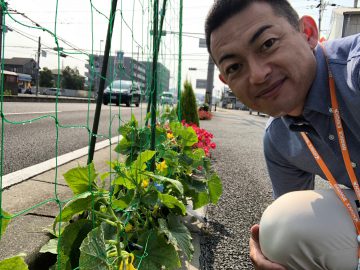 歩道菜園