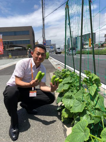 歩道菜園