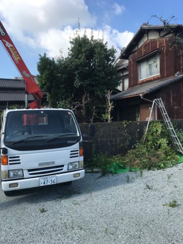 植木撤去　姫路市