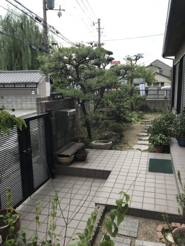 姫路市　植木剪定