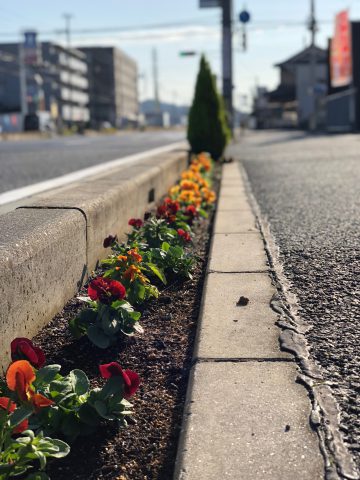 会社前花壇