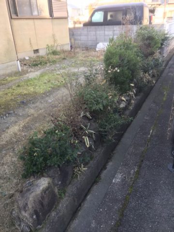 植木伐採　駐車場広げる