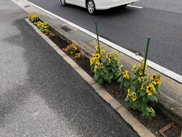 花壇道路