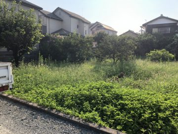 姫路市　植木剪定と草刈り