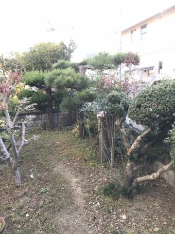 植木剪定