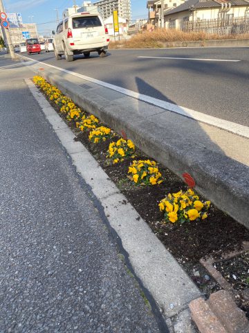 会社の前の花壇