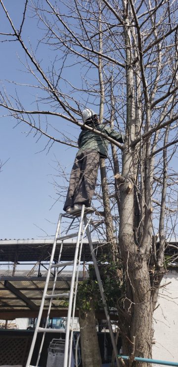 職人上って切る