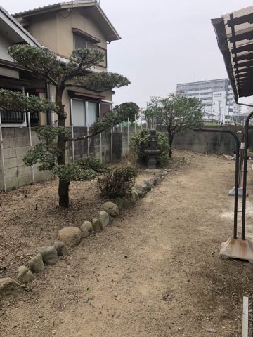 姫路市　植木剪定