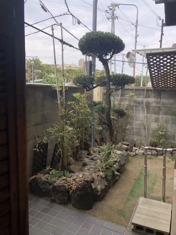 植木の剪定　姫路