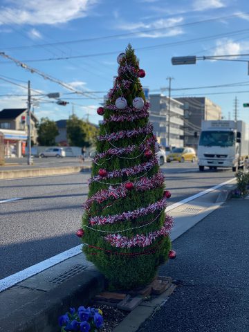 会社の前の花