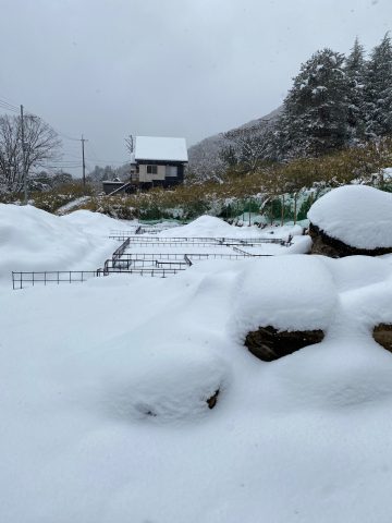 生野町現場