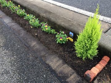 会社の前の花