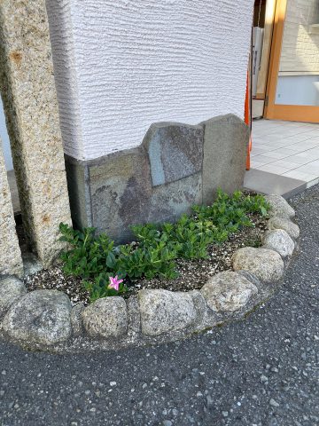 会社の前の花壇