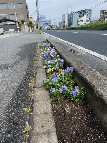 会社の前花壇