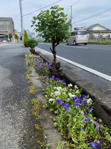 会社の前花壇