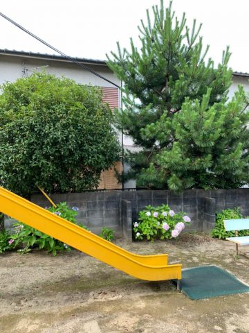 太子町　植木の伐採