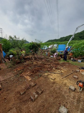 庭片付け