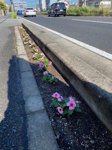 花壇　はな