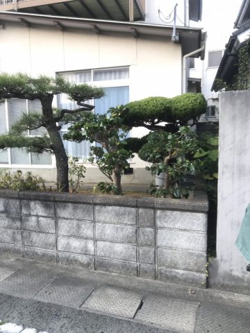 赤穂市　植木の剪定