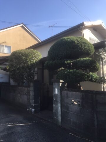 加古川市　植木剪定