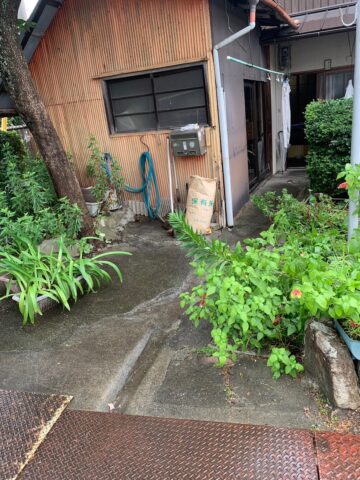 姫路市　成長しすぎた庭木の伐採