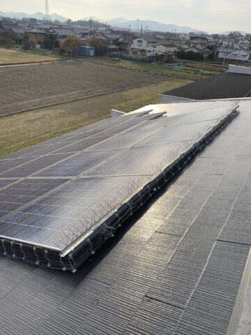 太子町　鳩よけのその後