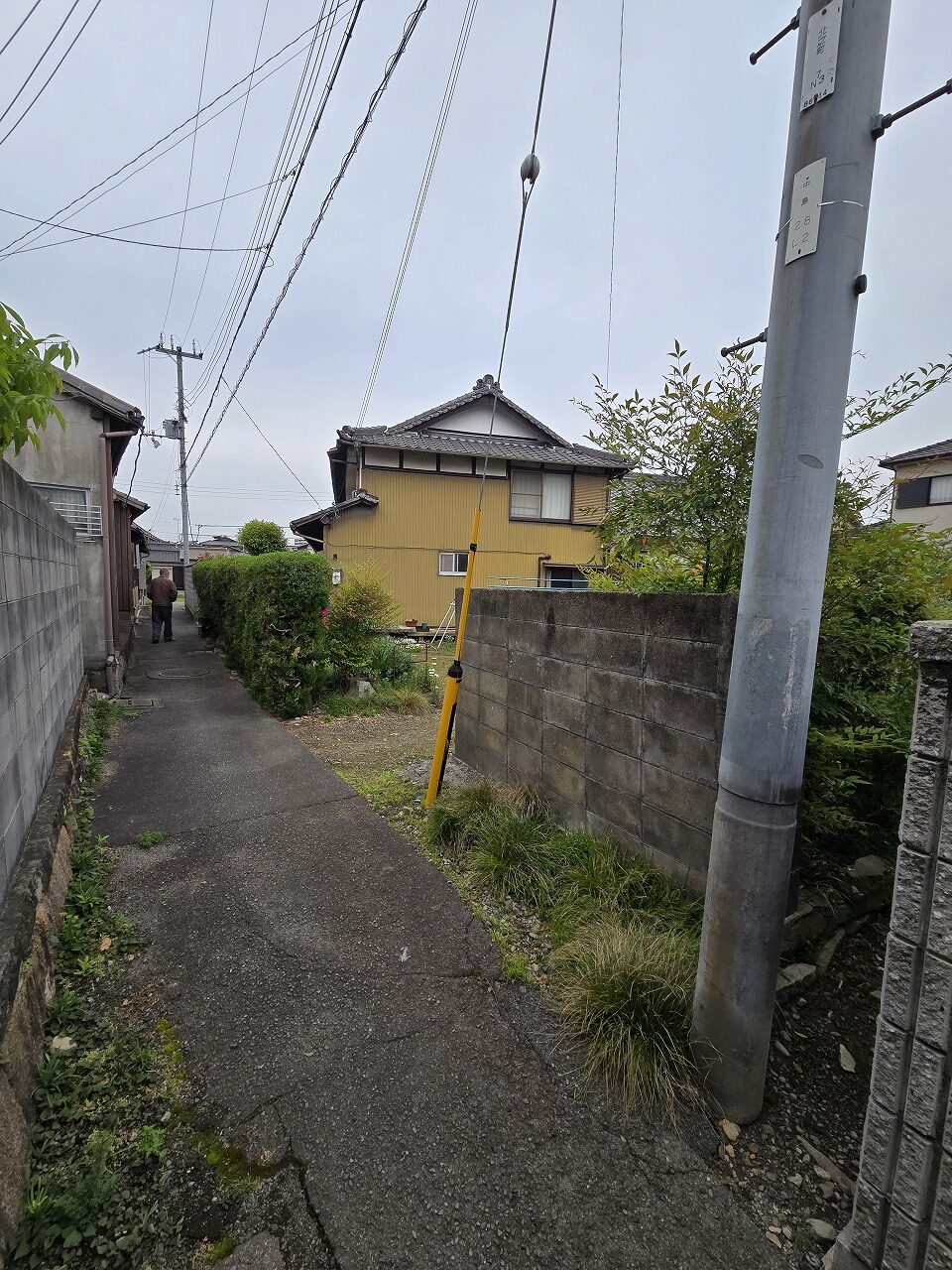 生垣撤去