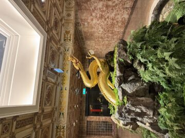 IMG_0376
