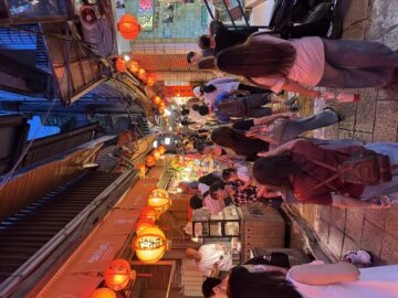 IMG_0548