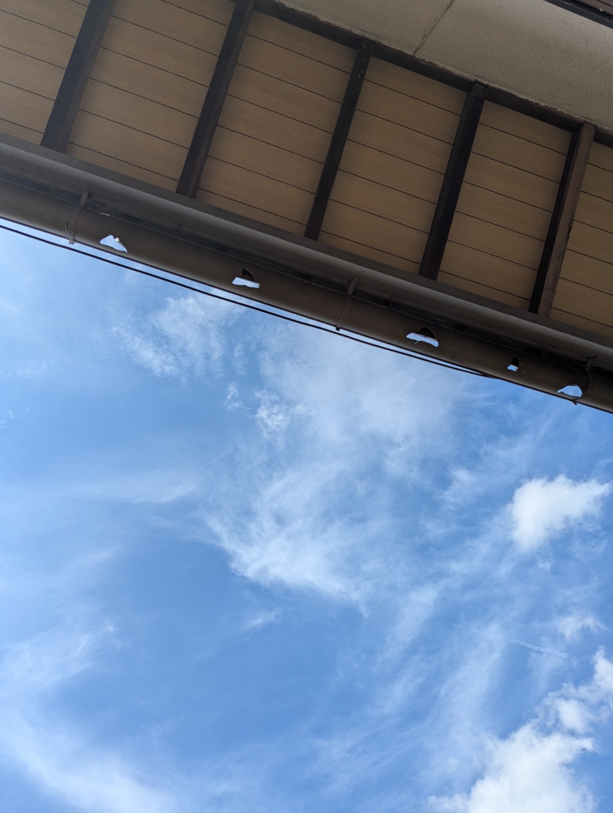 Photo_25-09-08-15-37-00.706