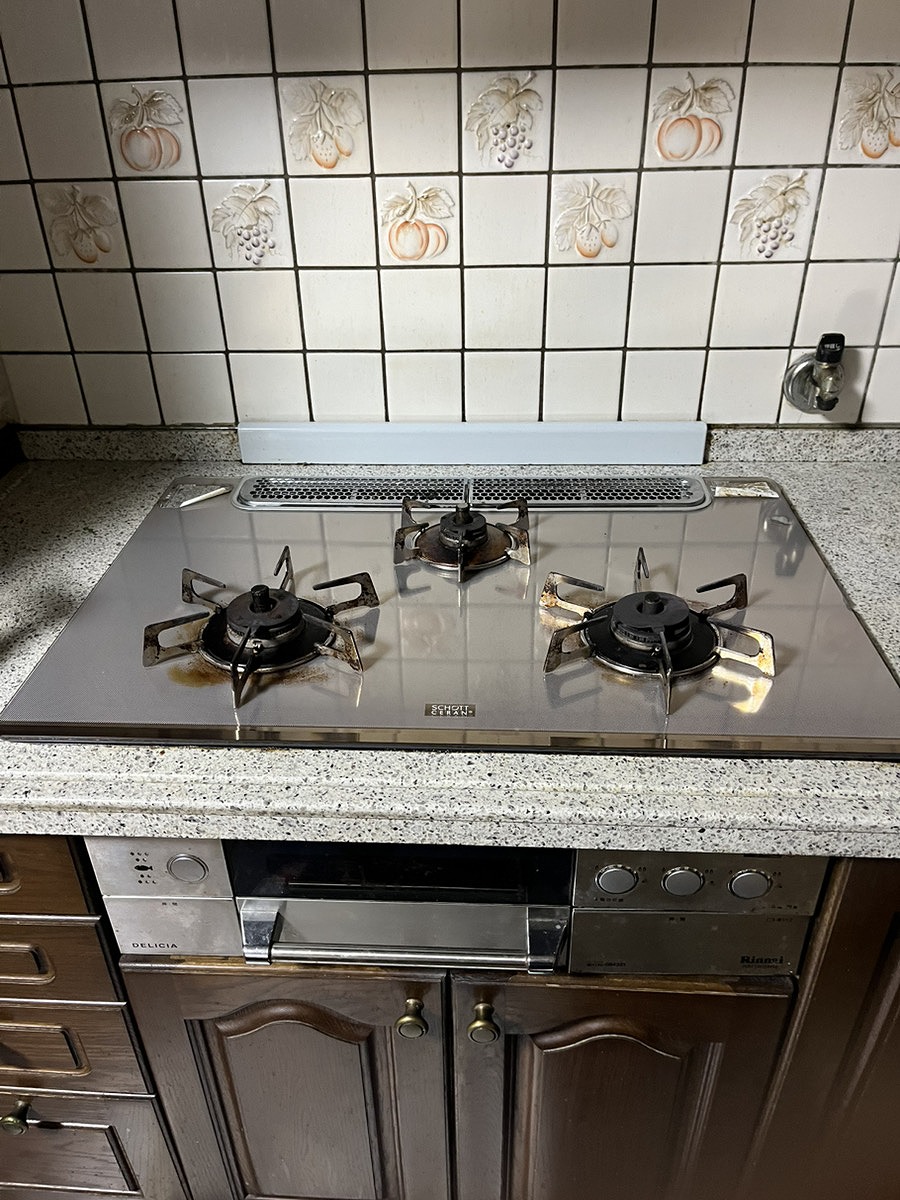 パロマウィズナ