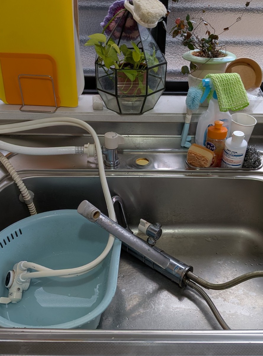 Photo_26-01-26-16-54-17.337