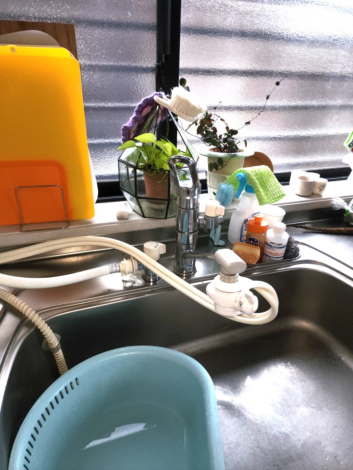 Photo_26-01-29-08-44-52.009