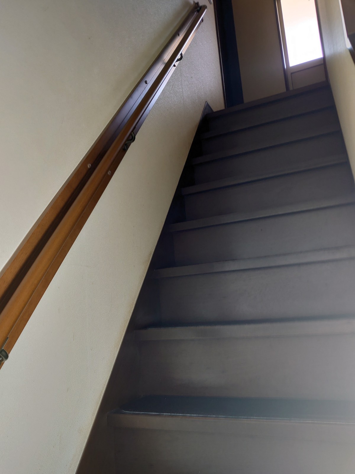 Photo_26-02-21-13-17-29.443