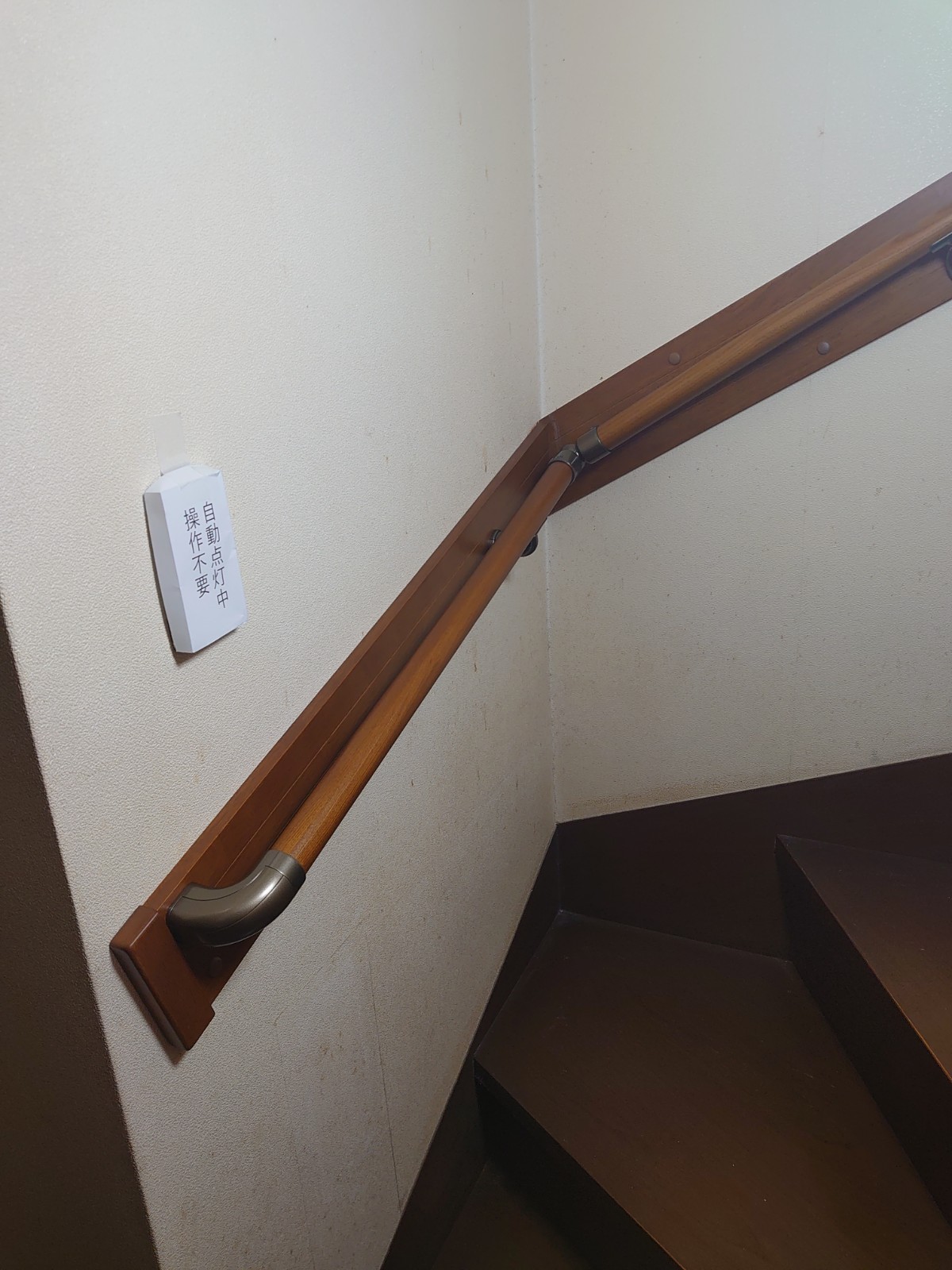 Photo_26-02-21-13-17-29.655