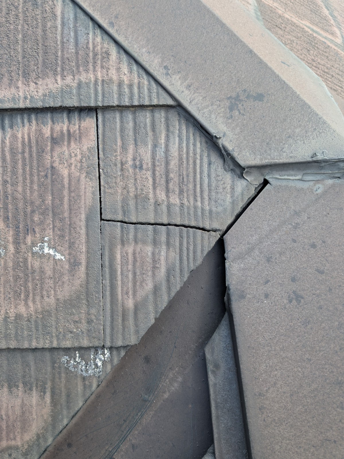 Photo_26-03-19-12-07-12.643