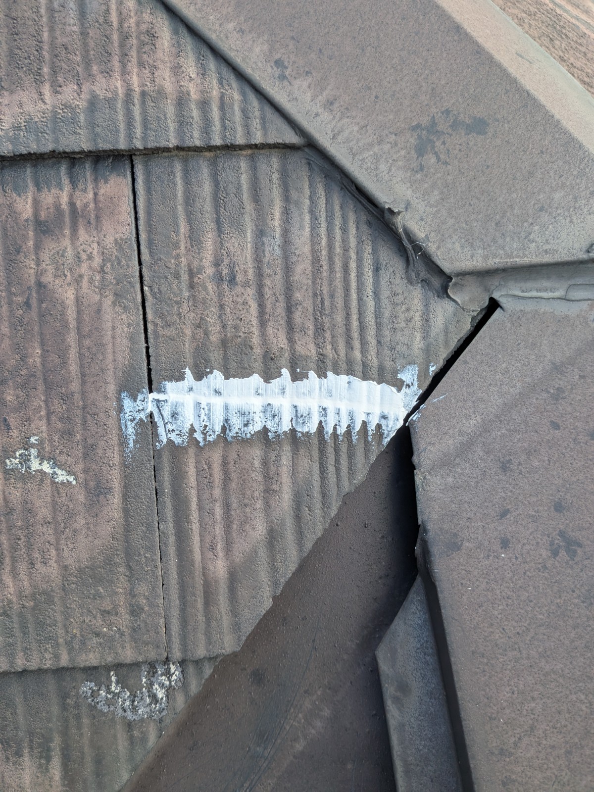 Photo_26-03-19-12-07-12.786