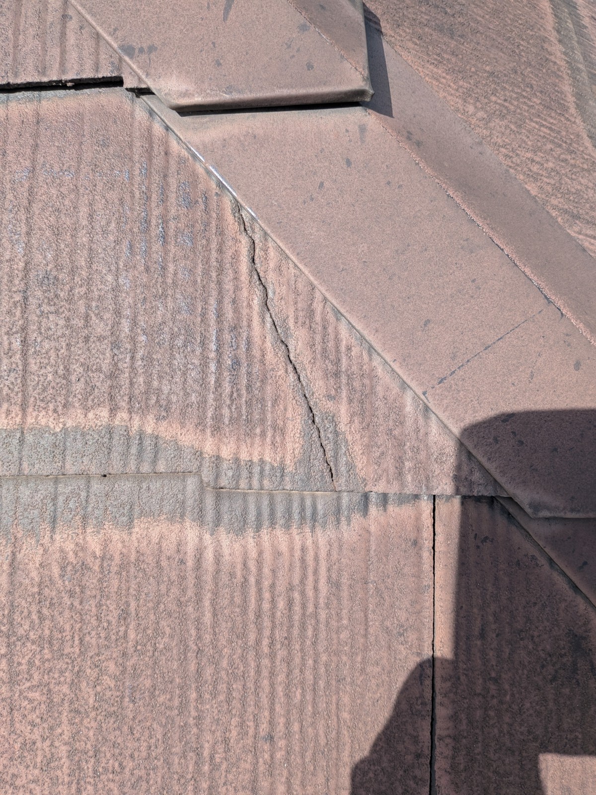 Photo_26-03-19-12-07-12.942