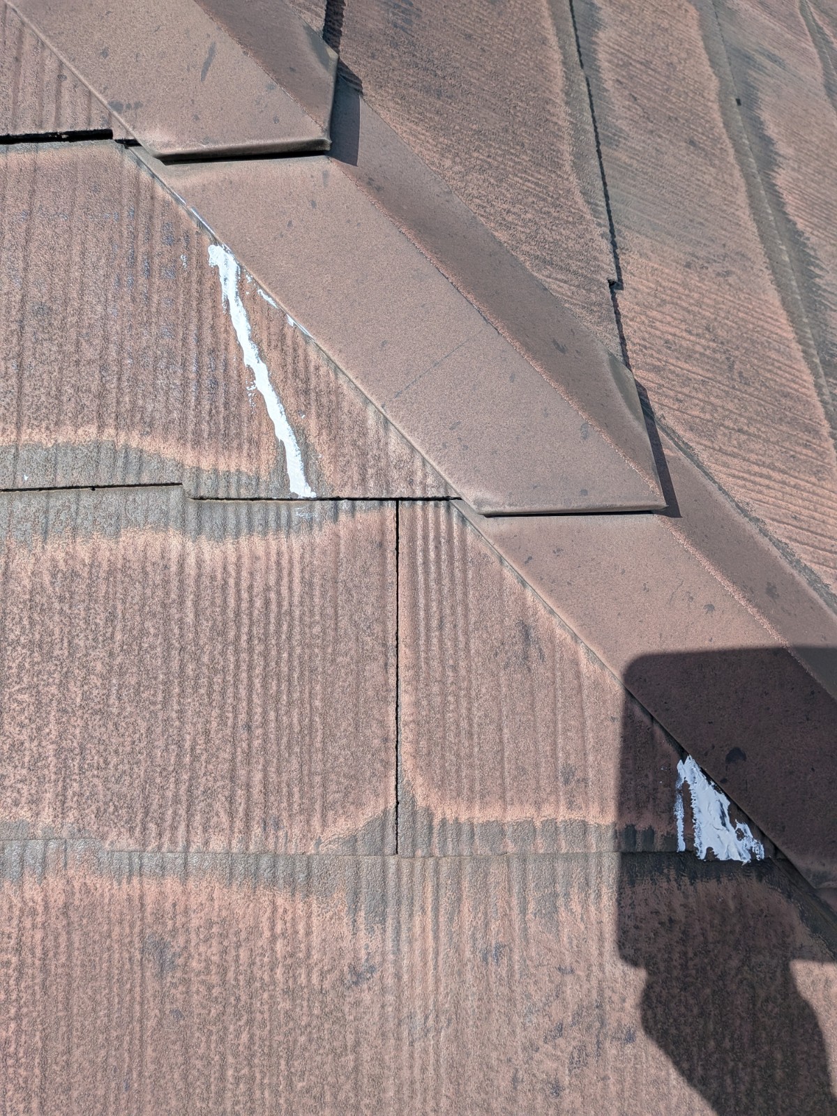 Photo_26-03-19-12-07-13.113