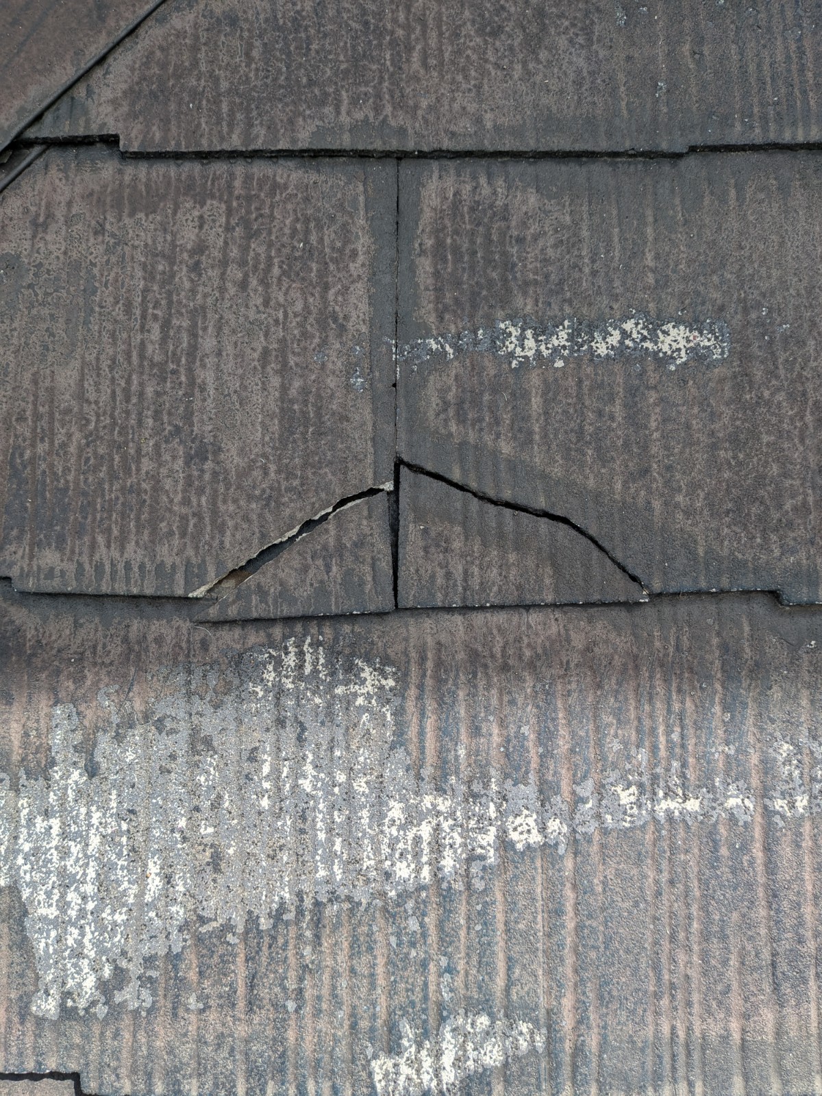 Photo_26-03-19-12-07-13.299