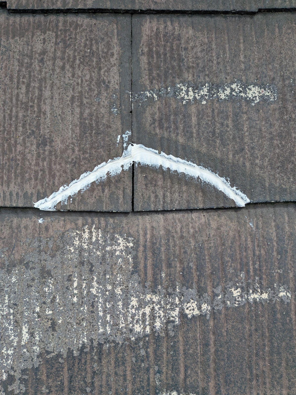 Photo_26-03-19-12-07-13.461