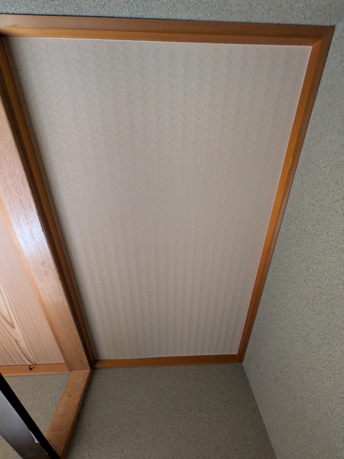 Photo_26-03-21-09-55-45.739